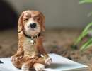 Dog Statue Meditating