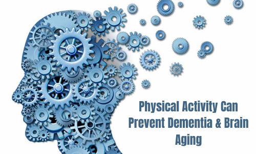 Physical Activity Can Prevent Dementia and Brain Aging