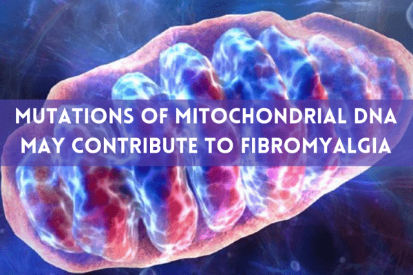 Mutations of Mitochondrial DNA May Contribute to FM